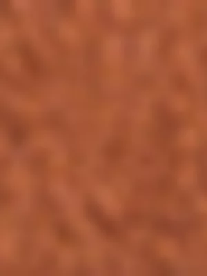 Exact Women's Brown Studded Wooden Heels