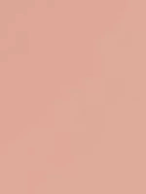 Nike Womens Sportswear Chill Knit Apricot Agate/Sail Tee