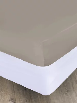 Volpes Egyptian Cotton 600TC Latte Fitted Sheet 