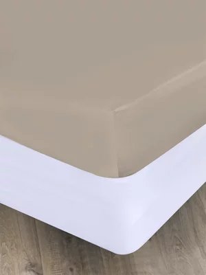 Volpes Egyptian Cotton 300TC Latte Fitted Sheet