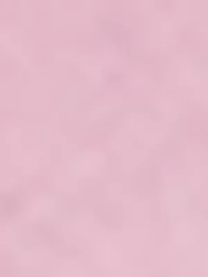 The FIX Women's Pink Maxi Skirt