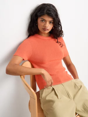 Fitted Short Sleeve Crew Neck Rib Knit