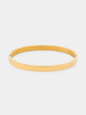 Tempo Jewellery Gold Plated Stainless Steel Bangle  