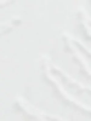 Jet Home White Leaf Tufted Comforter