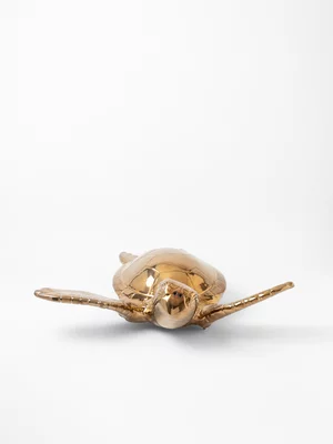 Rialheim Jonathan Giant Sea Turtle Wall Art Bronze