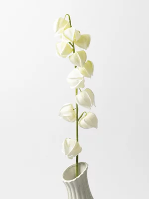 Faux Cape Gooseberry Flower Spray White79cm