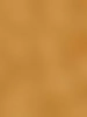 The FIX Men's Tan Sandals 