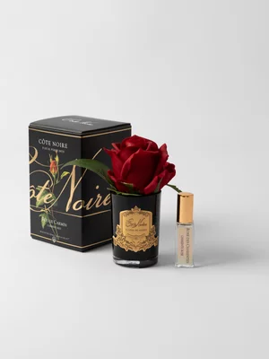Cote Noire Rose Bud Diffuser Carmine Red