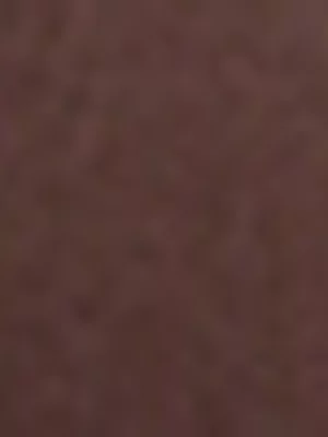 Swimwear Bikini Bottom with Tie Belt