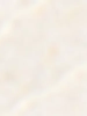 Linen Blend Embroidered Open Back Waistcoat