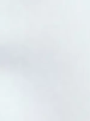 Jet Kids White Gladneck School Shirt