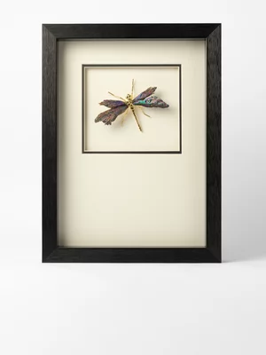 Dragonfly Crystal Shadow Box Wall Art White 40 x 30cm
