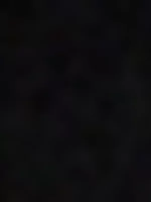 Redbat Women's Lace Print Relaxed Black T-Shirt