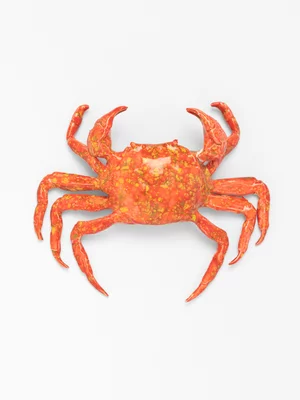 Rialheim Sebastian Crab Wall Art Red