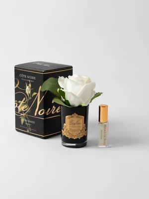 Cote Noire Rose Bud Diffuser Ivory White