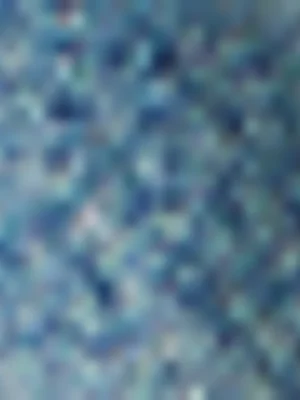 The FIX Women's Light Wash Pleated Denim Shorts 