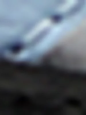 Mens Puma Rebound V6 Lo White/Blue Sneaker